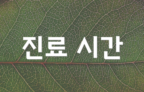 진료 시간