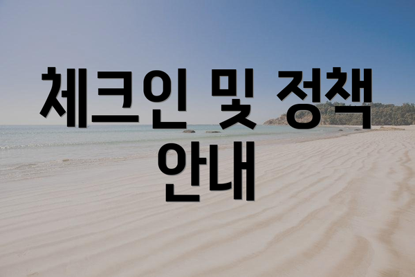 체크인 및 정책 안내