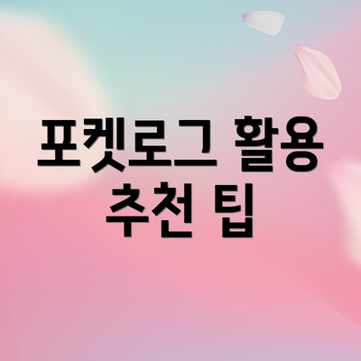 포켓로그 활용 추천 팁