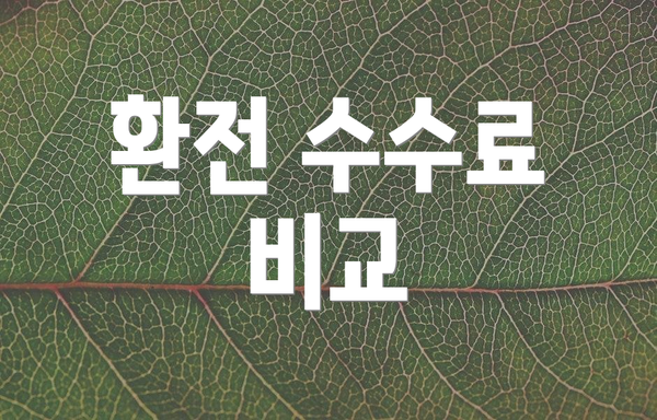 환전 수수료 비교