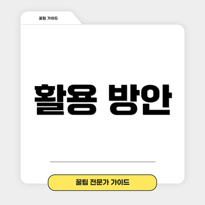 활용 방안