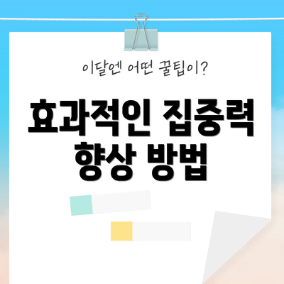 효과적인 집중력 향상 방법