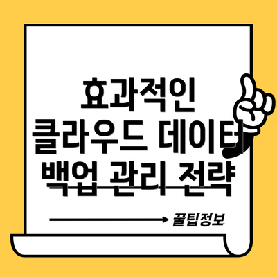 효과적인 클라우드 데이터 백업 관리 전략