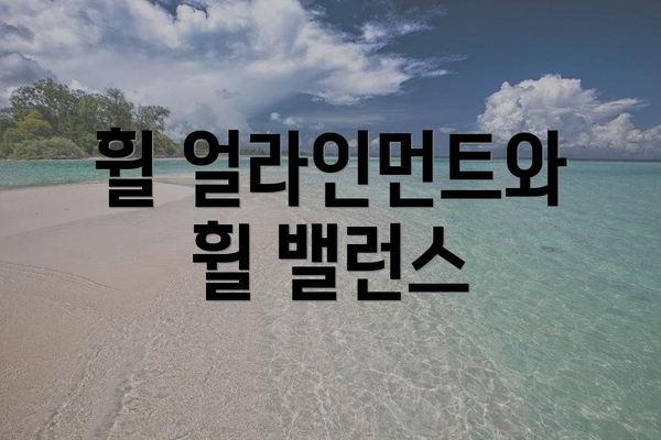 휠 얼라인먼트와 휠 밸런스