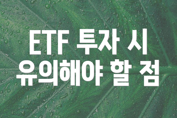 ETF 투자 시 유의해야 할 점