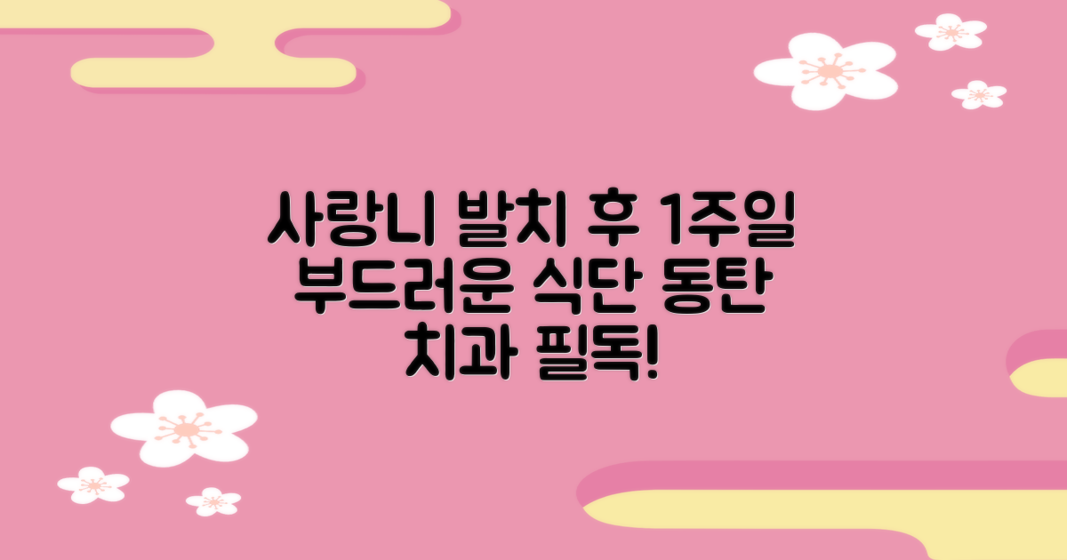 동탄 사랑니 발치 후 1주일 부드러운 식단 가이드