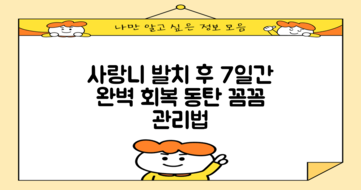 7일간 꼼꼼한 구강 관리: 동탄 사랑니 발치 후 안전하게 회복하는 비결