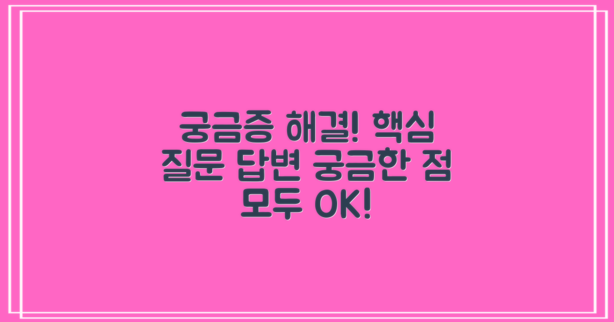 자주 묻는 질문